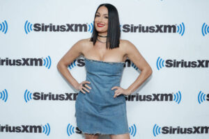 Former WWE star Nikki Bella's husband Artem arrested for domestic violence  