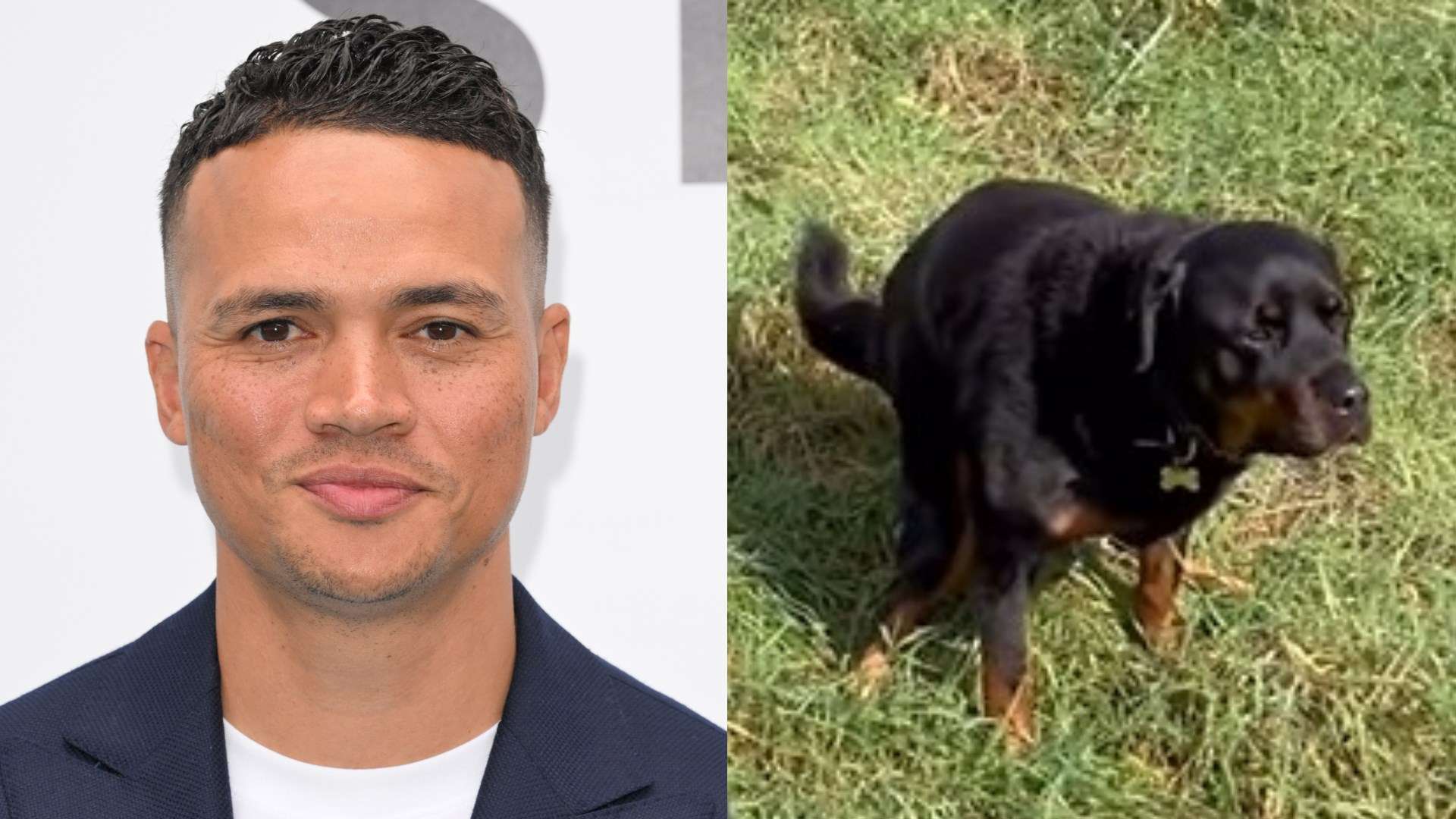 'Decides to take a sh*t' - Jenas speech interrupted by his dog  