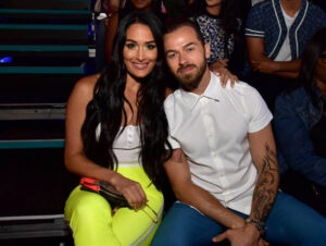Nikki Bella files for divorce weeks after domestic violence incident  