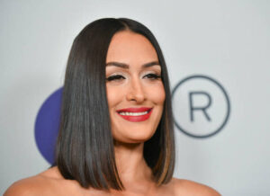 Nikki Bella files for divorce weeks after domestic violence incident  