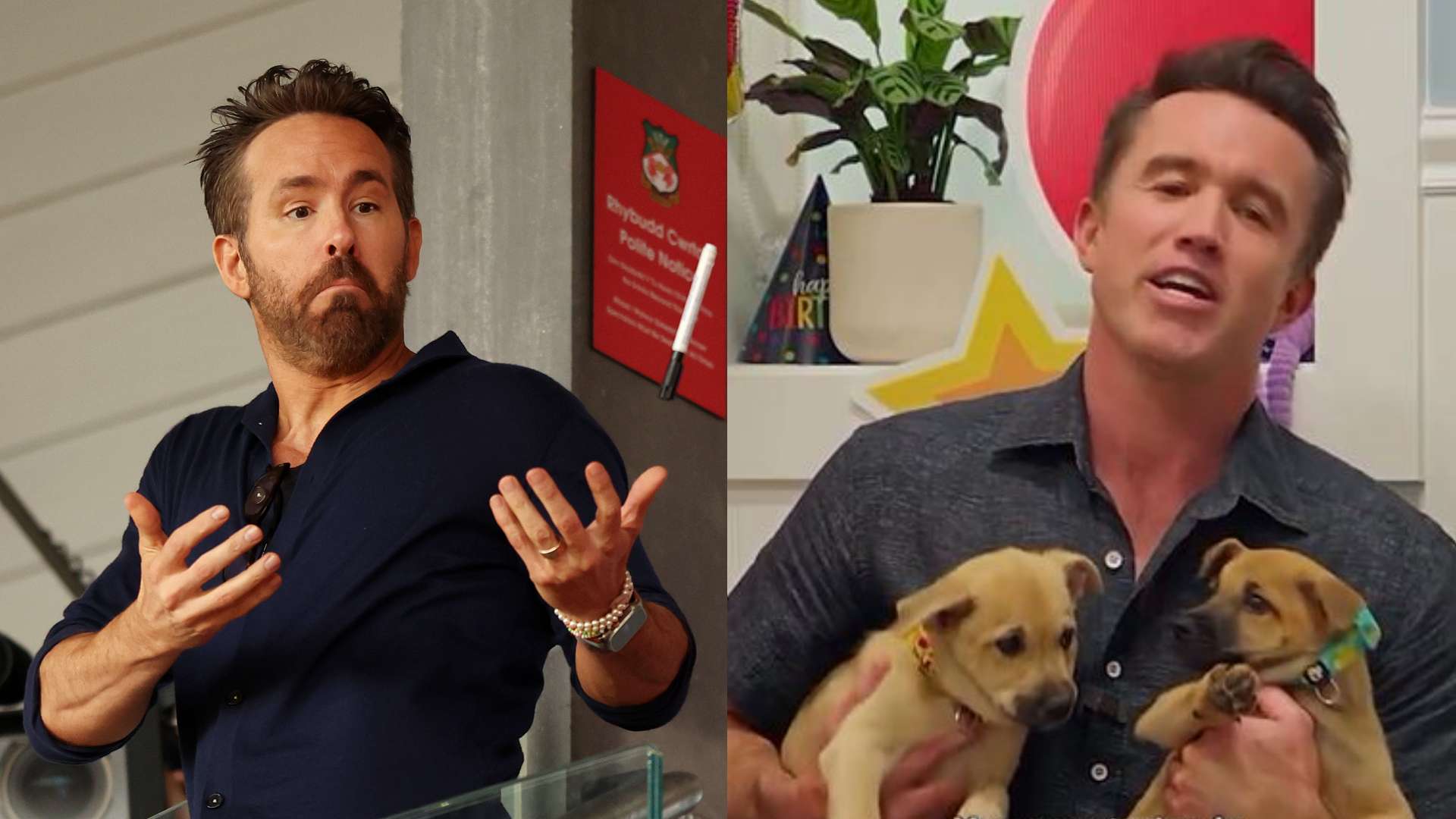 Reynolds scraps plans to 'kidnap' McElhenney after surprise  