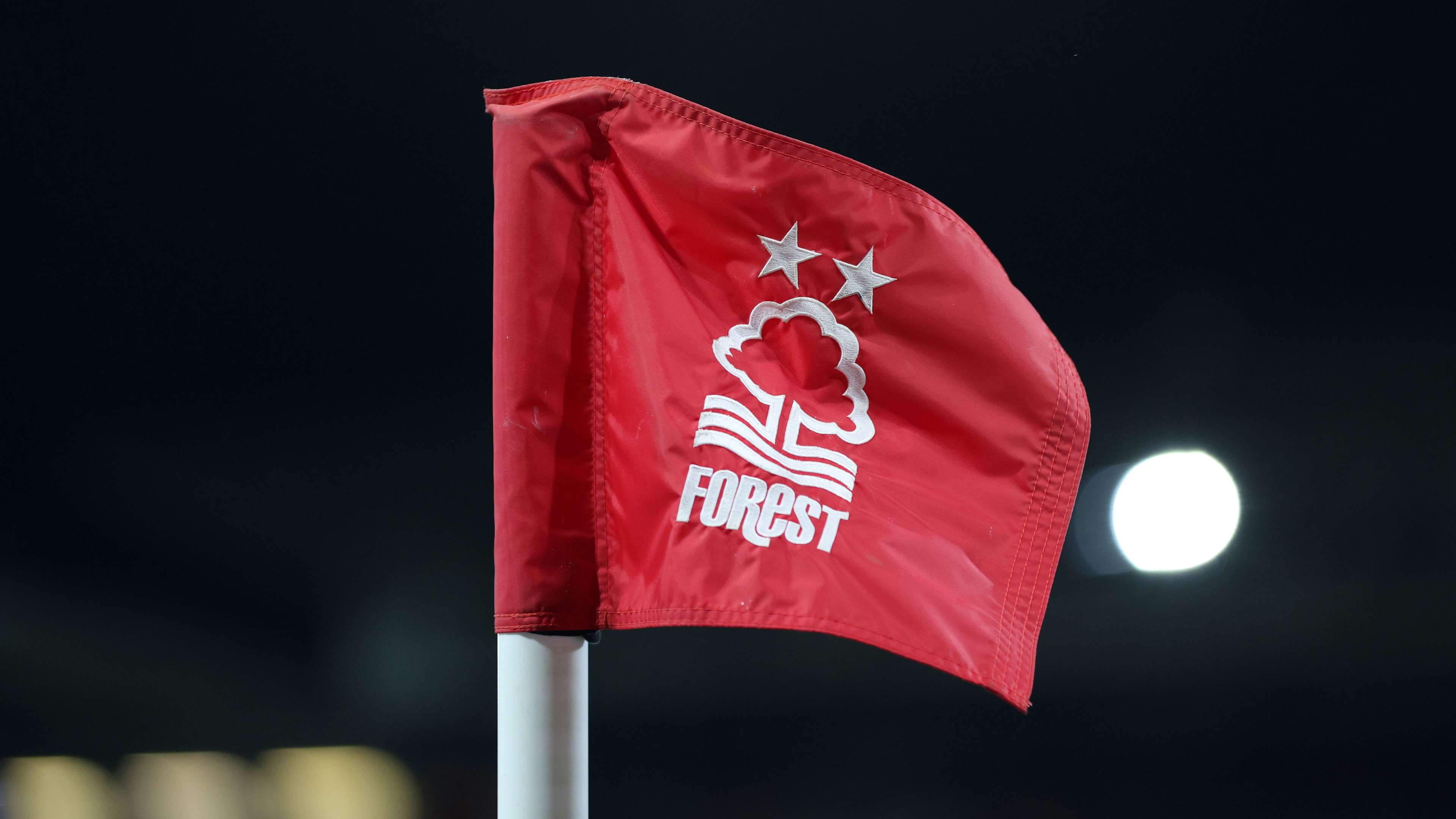 Why do Nottingham Forest have two stars on their crest?  