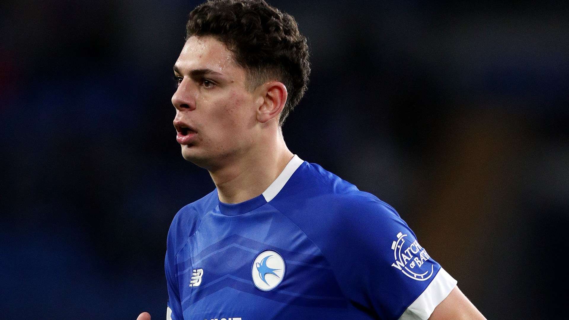 Worrying scenes as medical emergency sees Cardiff star frantically jump into stands  