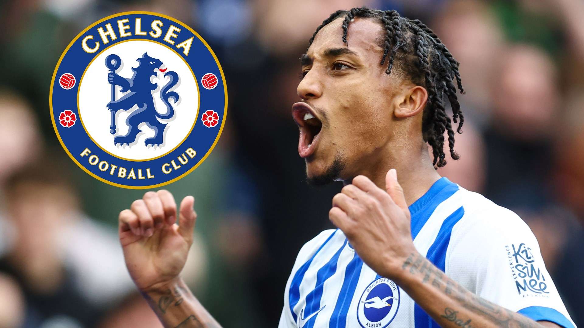 Chelsea confirm £60m Pedro signing from Brighton  