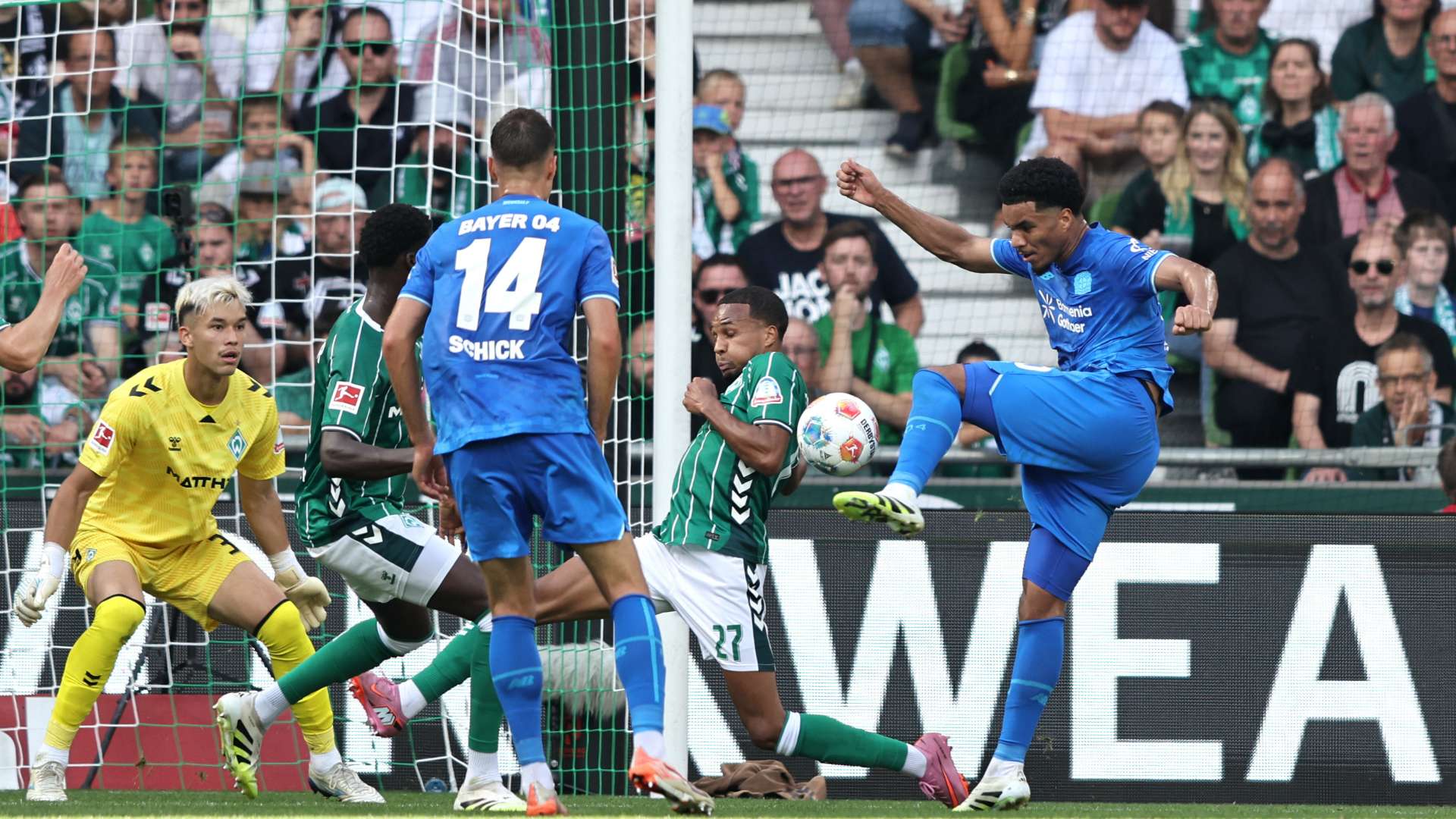 WATCH: USMNT star Tillman scores on Leverkusen debut  
