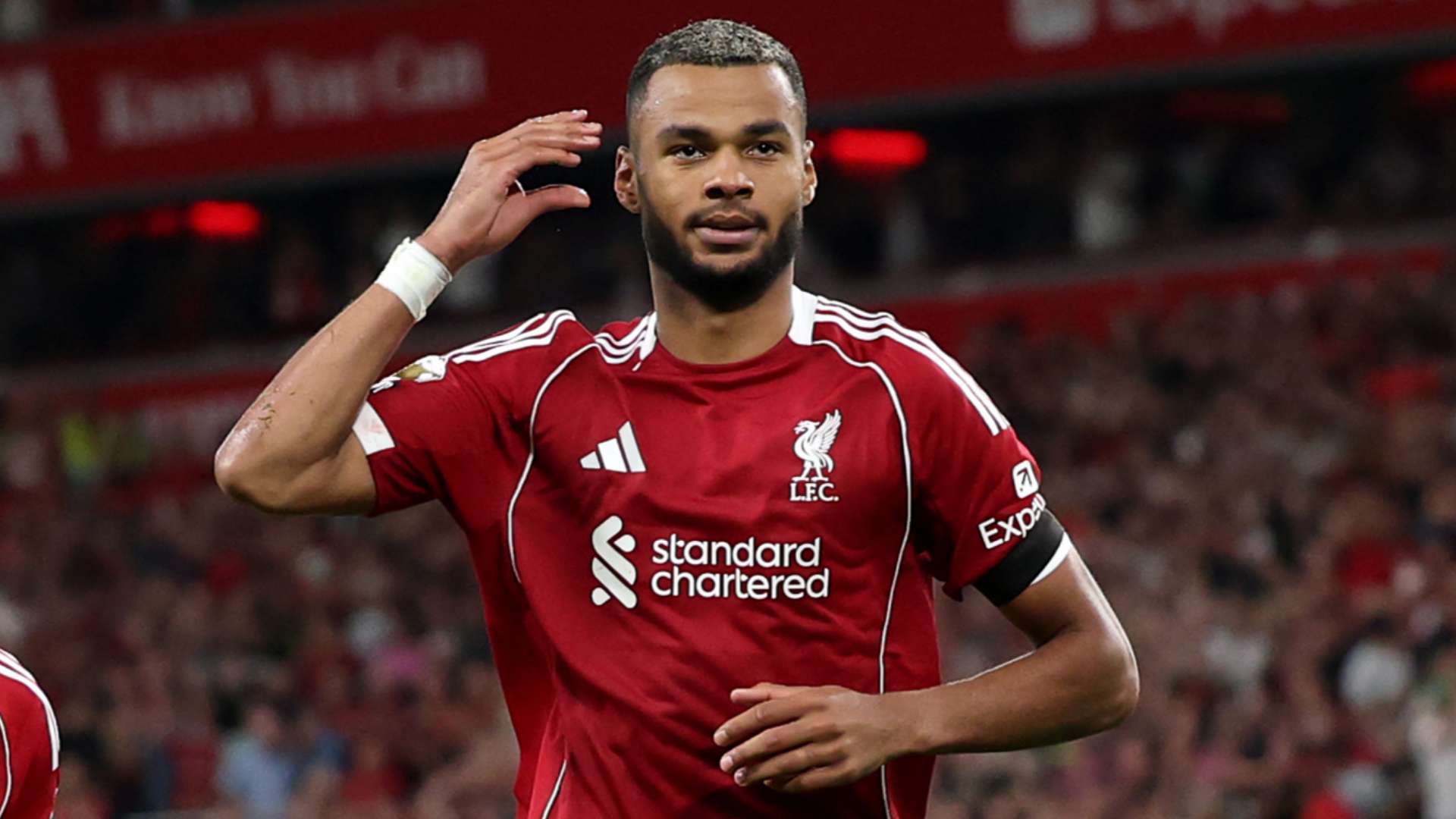 Liverpool confirm Gakpo has signed new 'long-term' deal  