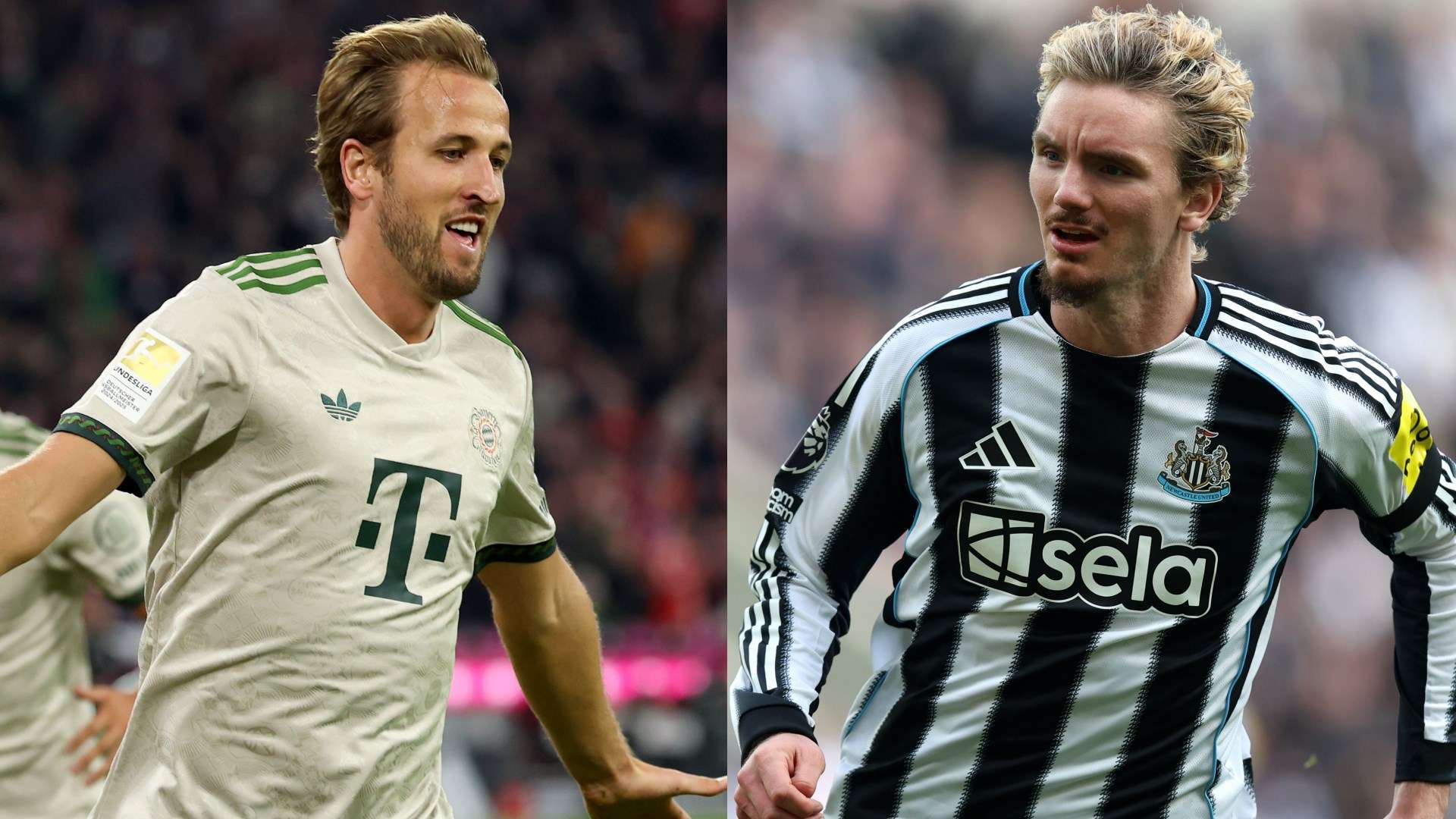 Gordon compares Woltemade to England 'quarterback' Kane  