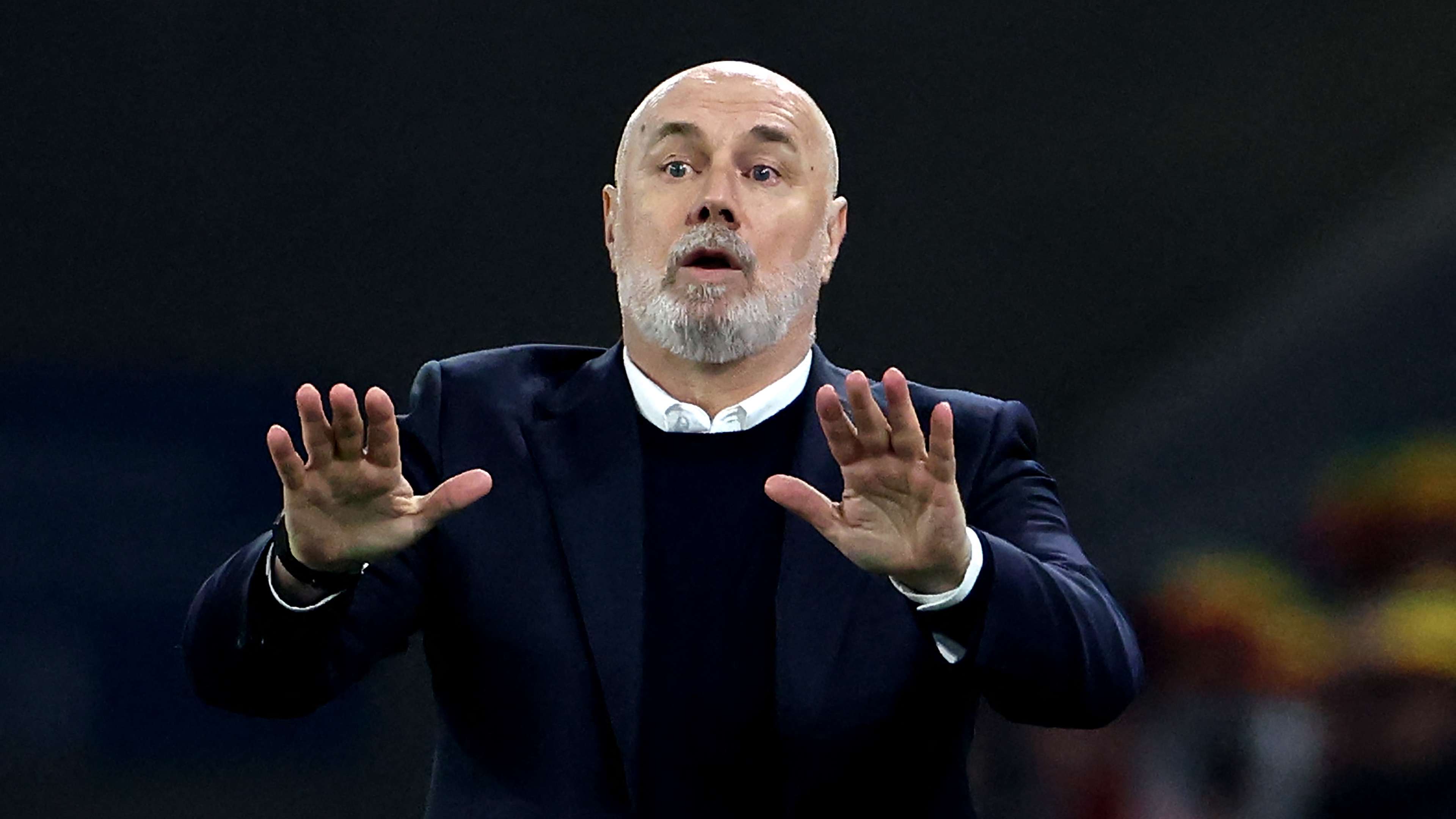Bosnia, Barbarez: "We'll park the bus in front of goal if we take the lead"  