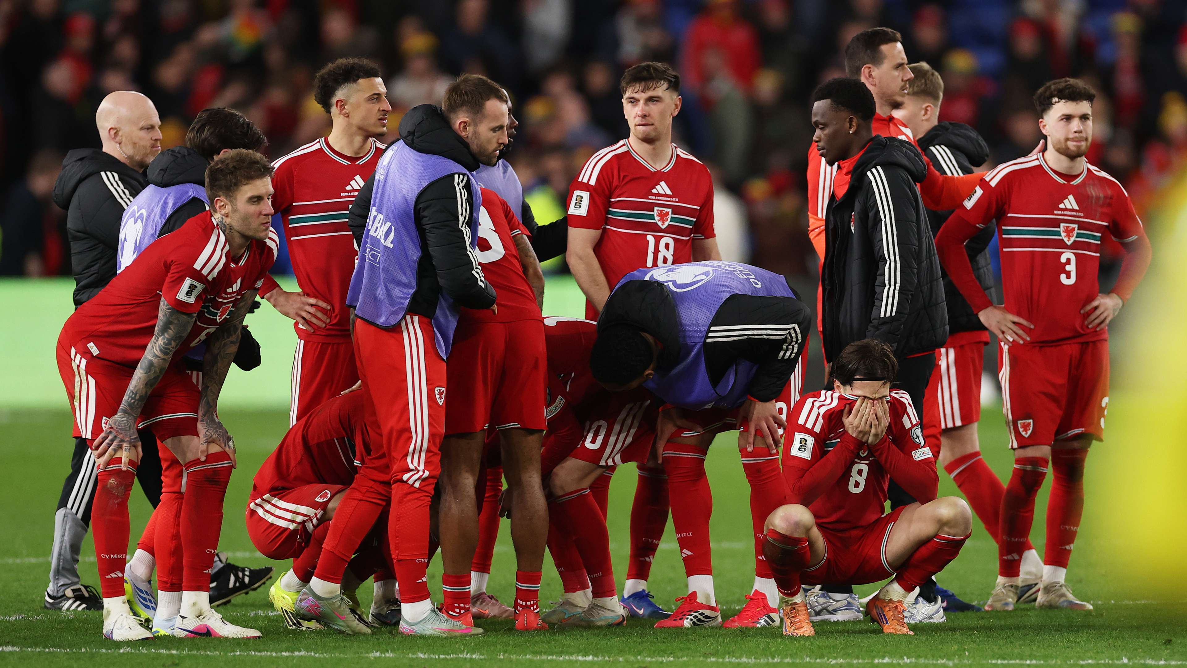 Wales and Ireland's World Cup dreams ended!  