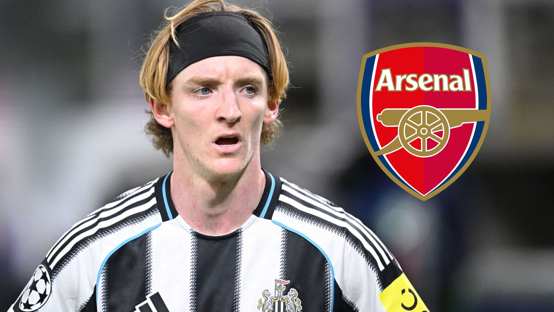 Arsenal considering Gordon move to bolster attack  