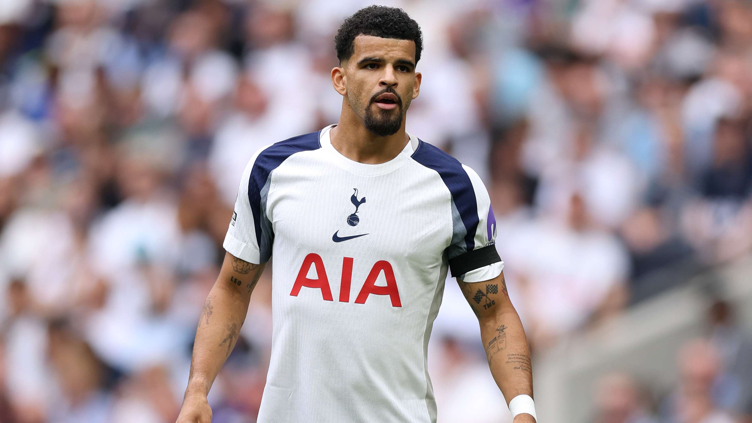 Solanke's season could be OVER as Spurs face another major injury blow  